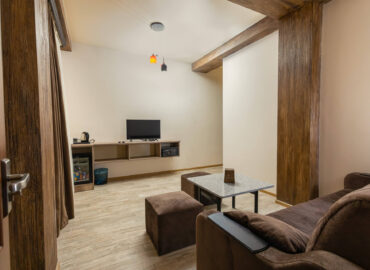 Deluxe Double Room - living room