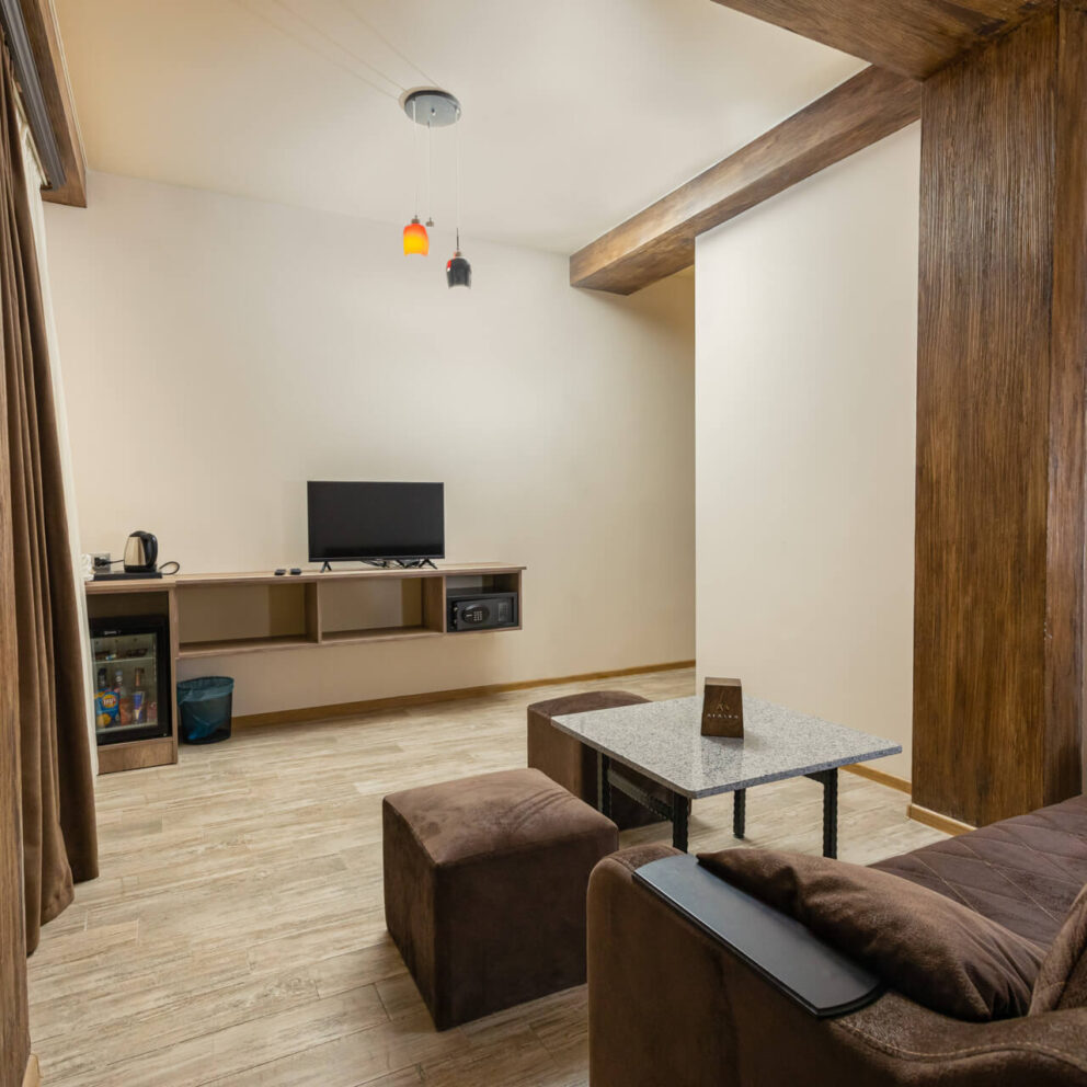 Deluxe Double Room - living room
