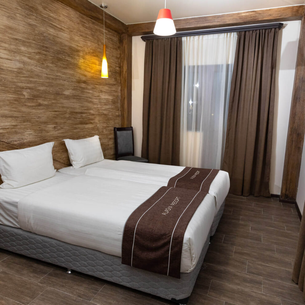 Deluxe Double/twin Room